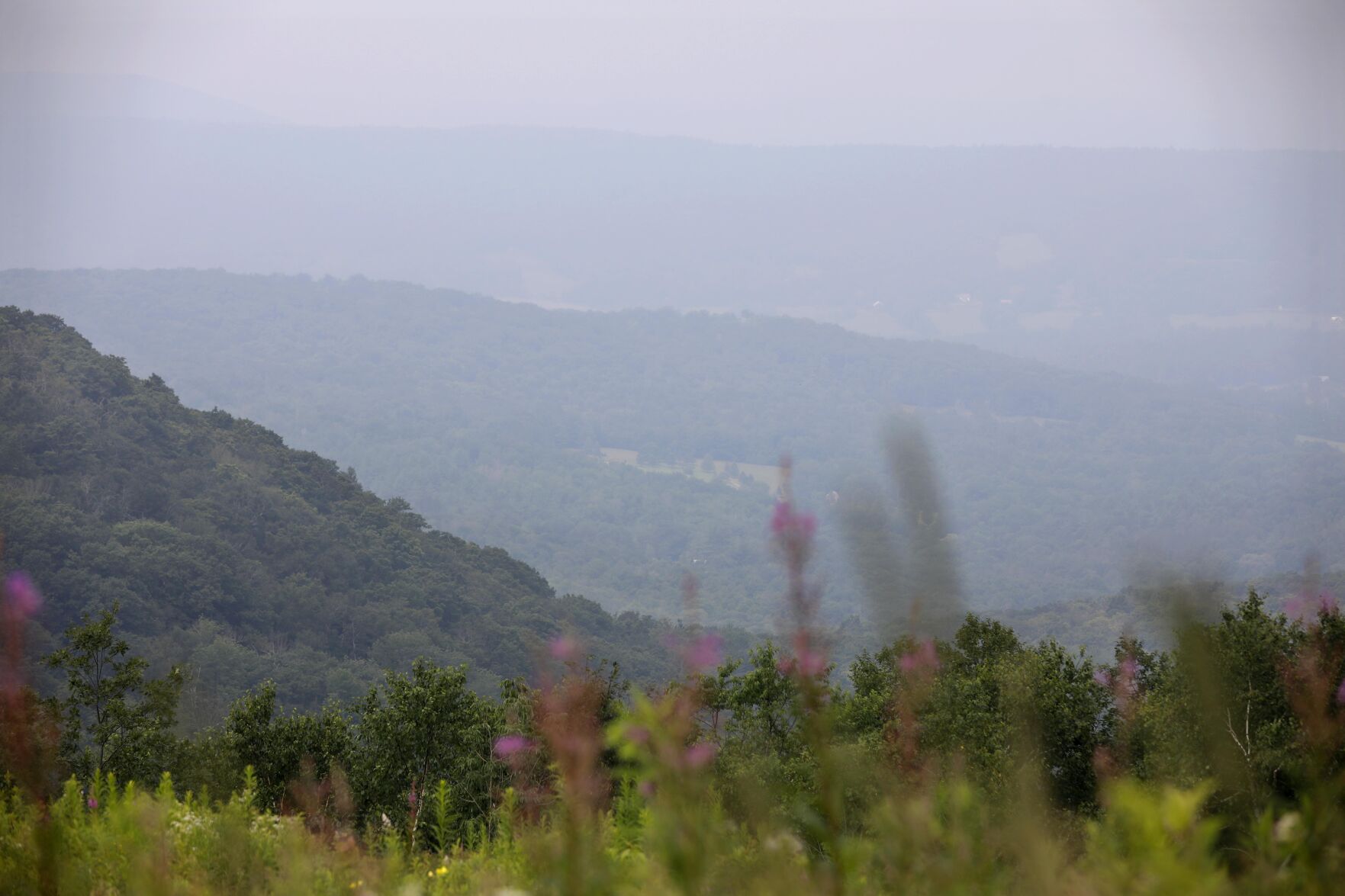 haze over mountains with wildflowers